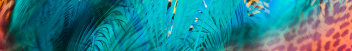 etnico